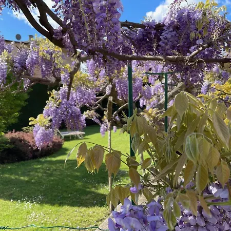 Pensión Dimora Fiorita Senior My