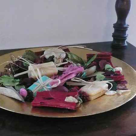 Dimora Fiorita Senior My