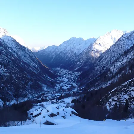 Dimora Fiorita Senior My