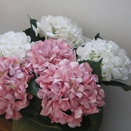 Dimora Fiorita Senior My 3*