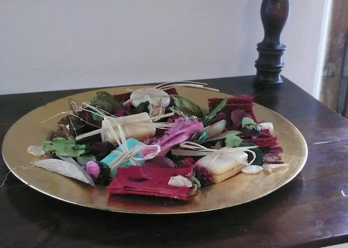 Dimora Fiorita Senior My