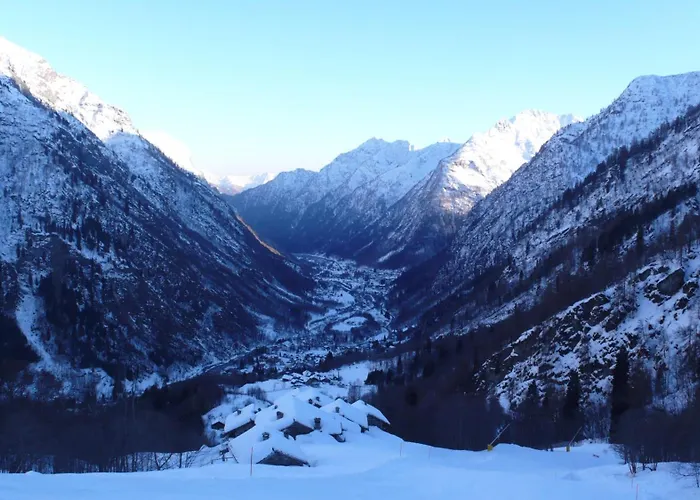 Dimora Fiorita Senior My