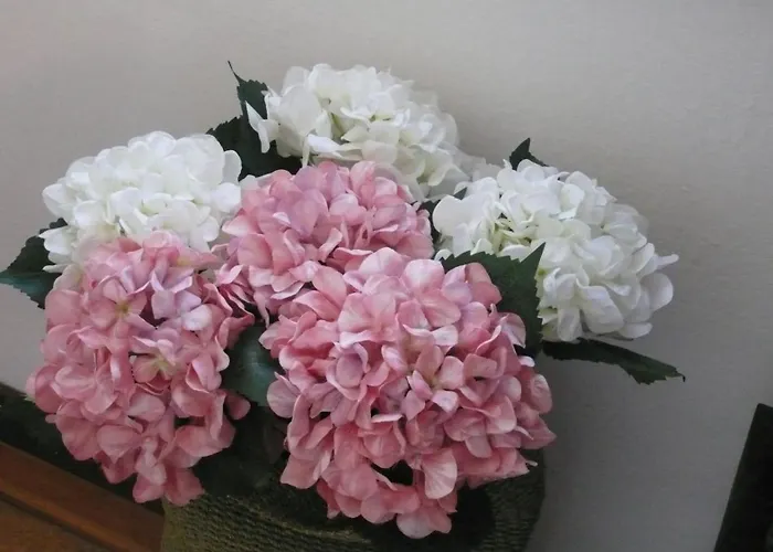 Dimora Fiorita Senior My 3*